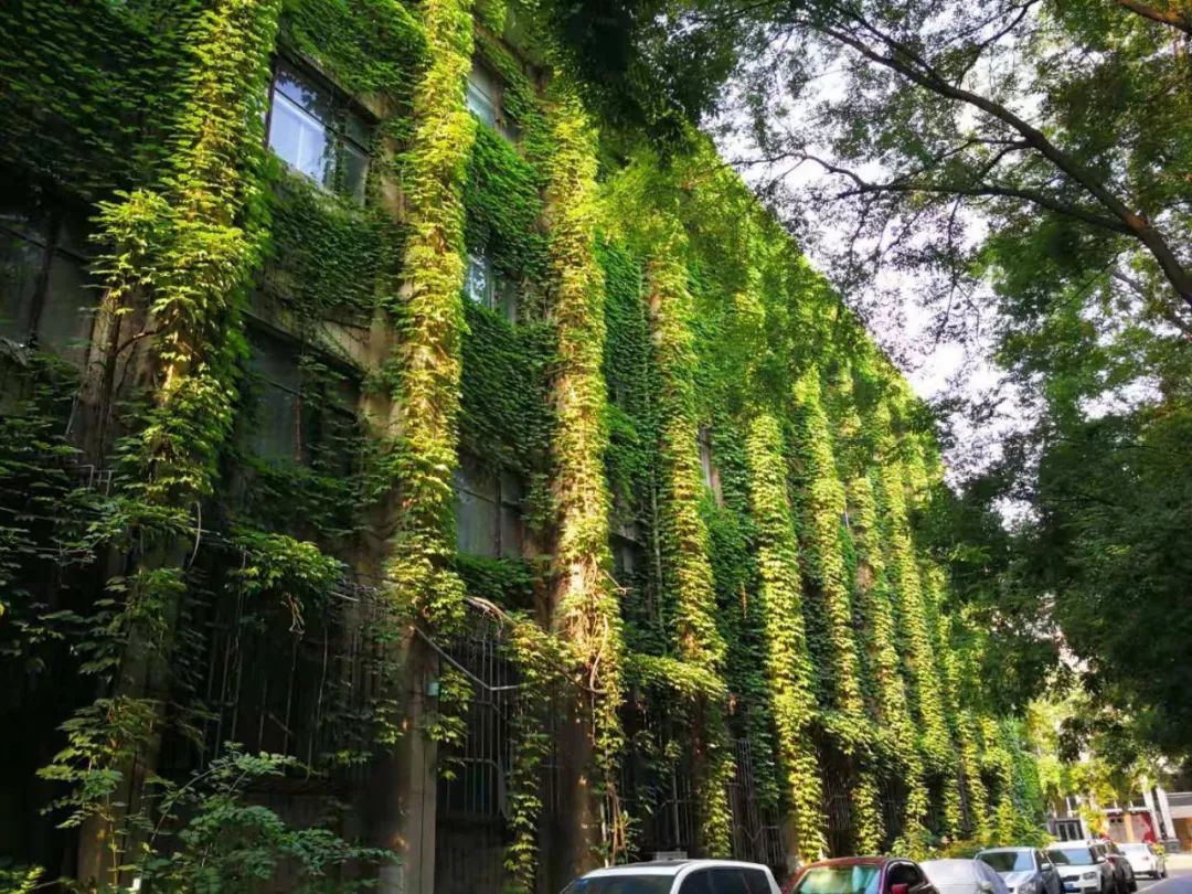 7b62d94a1f044df9a4e0e42485b7f994.jpg 7b62d94a1f044df9a4e0e42485b7f994.jpg